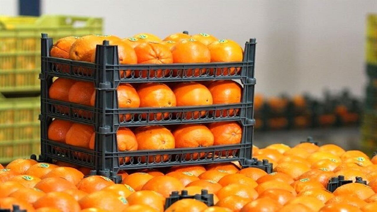  میوه شب عید، سه برابر پارسال تأمین شده است 
