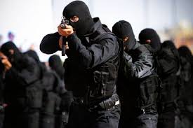 انهدام شبکه تروریستی در جنوب شرق کشور 